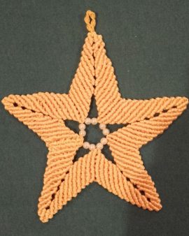 Etoile de Noël